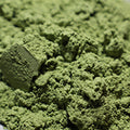 Matcha Green Tea